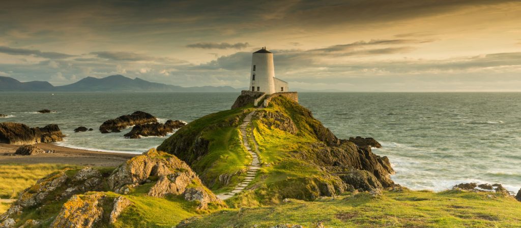 Career final cta 1024x449.jpg